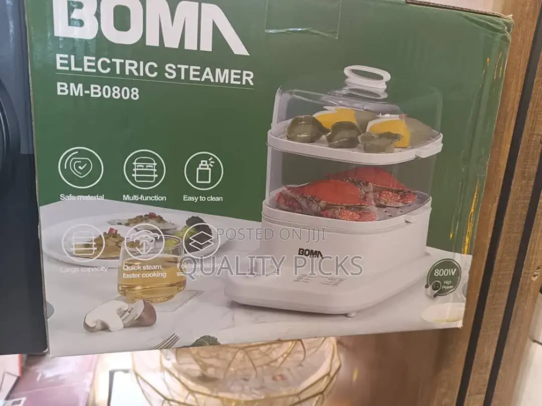 BOMA Electric Steamer