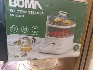 BOMA Electric Steamer