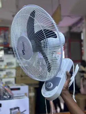 Wall Mount Fan.Dp Light.