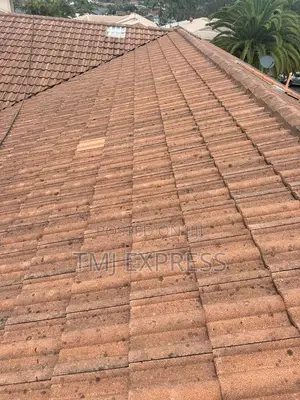 Roof Tile Cleaning