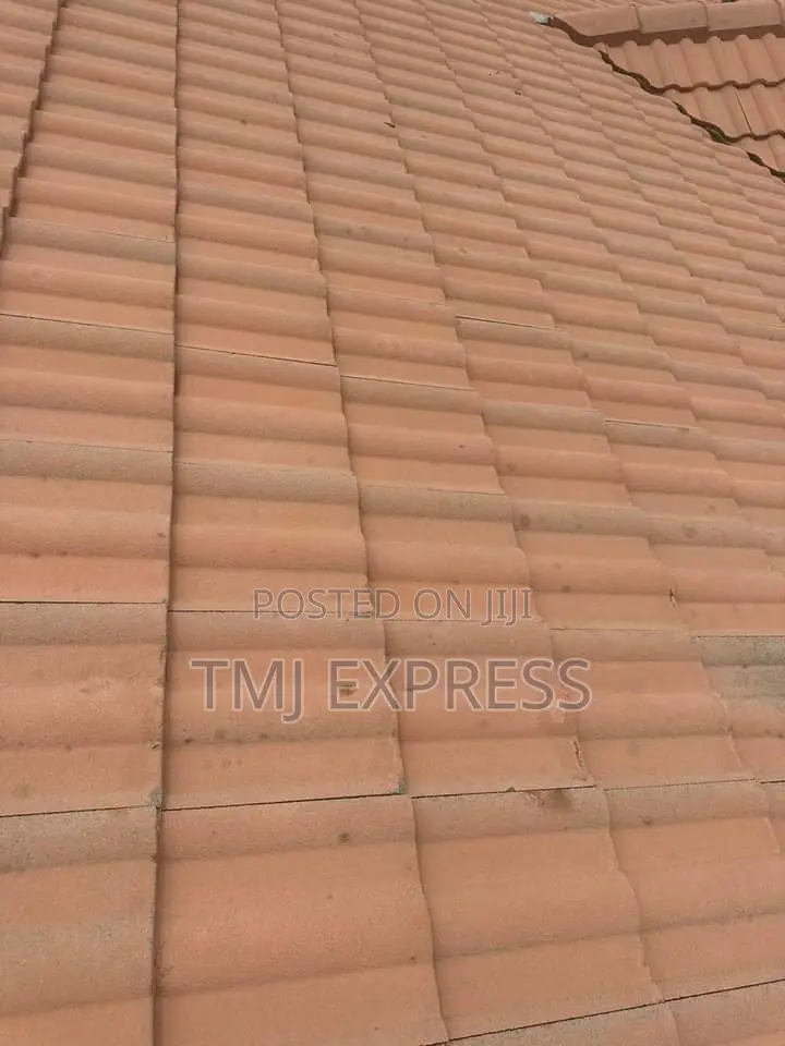 Roof Tile Cleaning