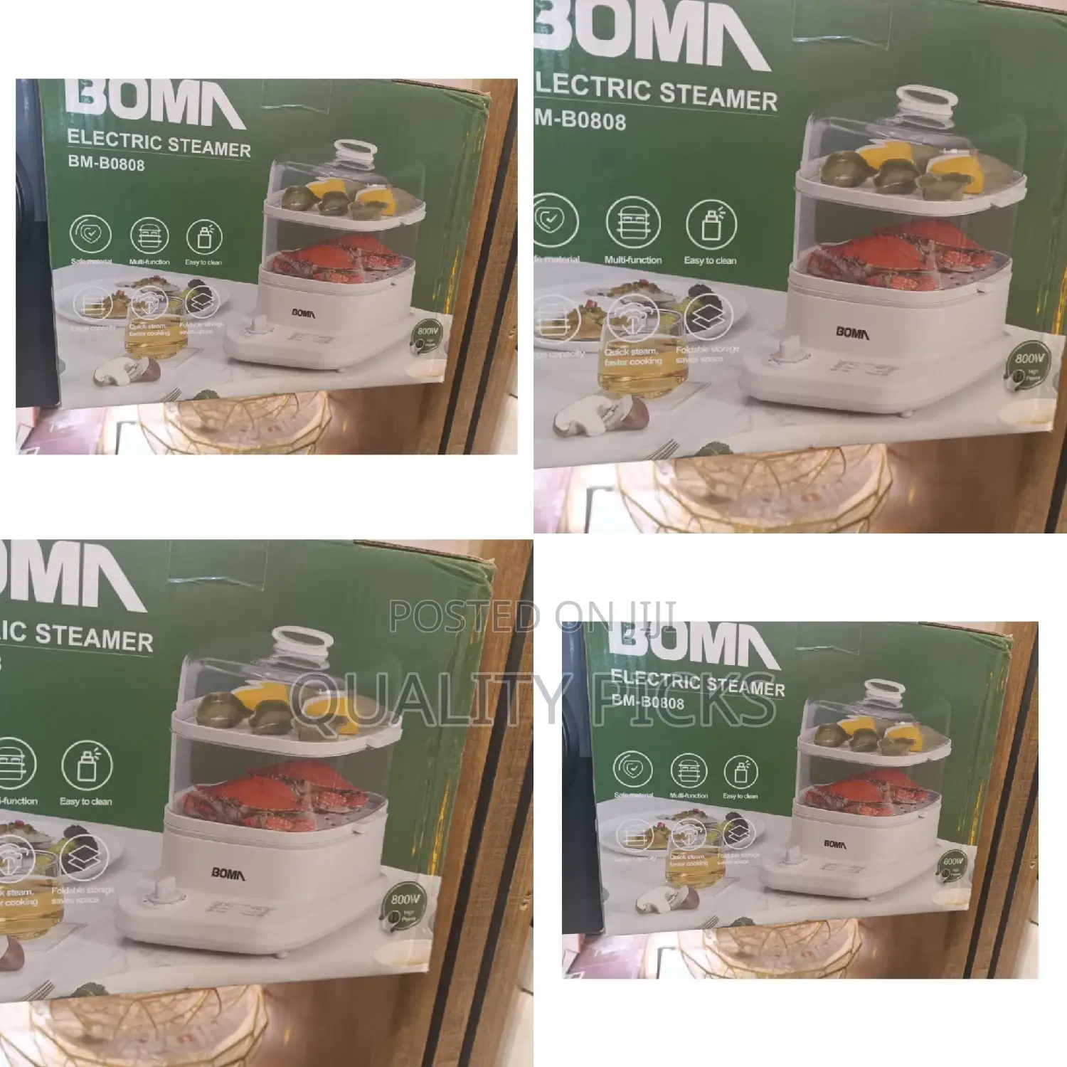 BOMA Electric Steamer