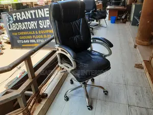 Office Chair, Long Back