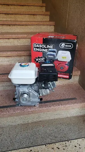 8hp Petrol Engine Edon