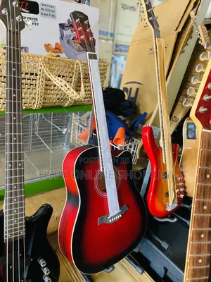 Magic Acoustic Guitars