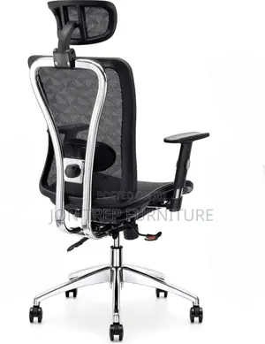 Orthopedic Office Chair