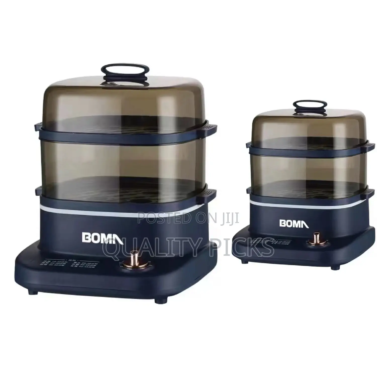 BOMA Electric Steamer