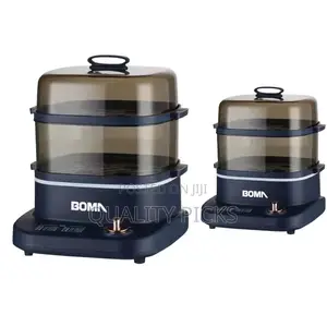 BOMA Electric Steamer