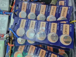 Sony Lithium Batteries