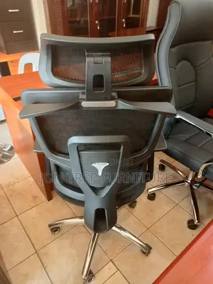 Executive Office Chair Othopedic