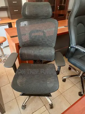 Executive Office Chair Othopedic