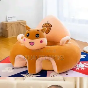 Baby Car Seater