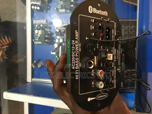 Ac220/Dc12~24 Hi Fi Bass Power Amplifier