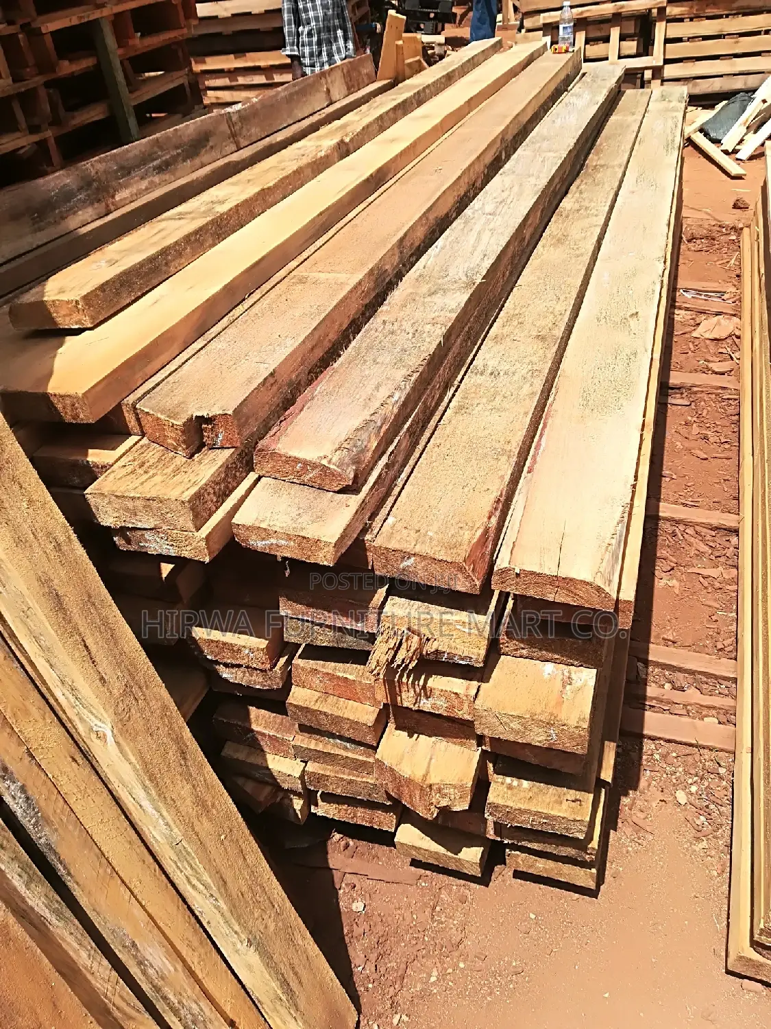 Pine Timber of All Sizes