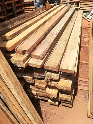 Pine Timber of All Sizes