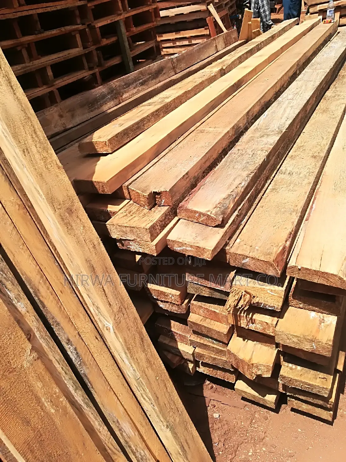 Pine Timber of All Sizes