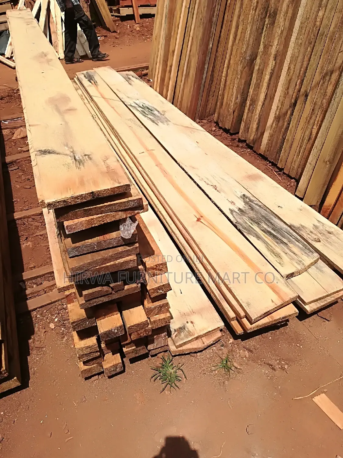 Pine Timber of All Sizes