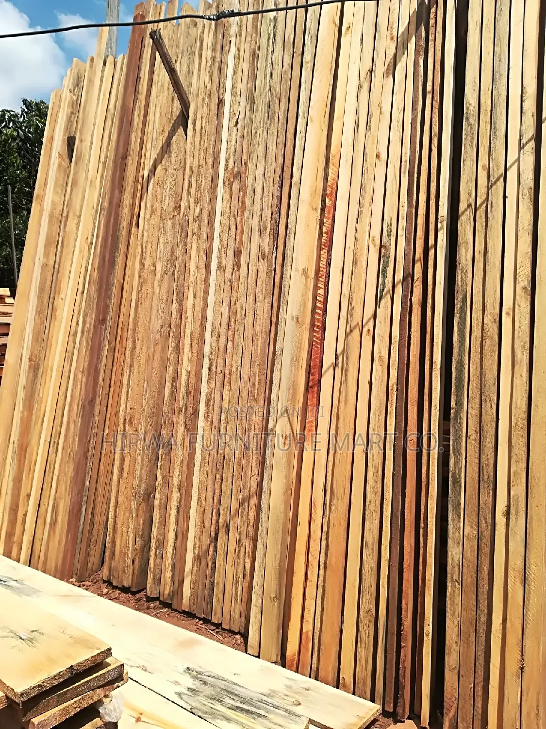 Pine Timber of All Sizes