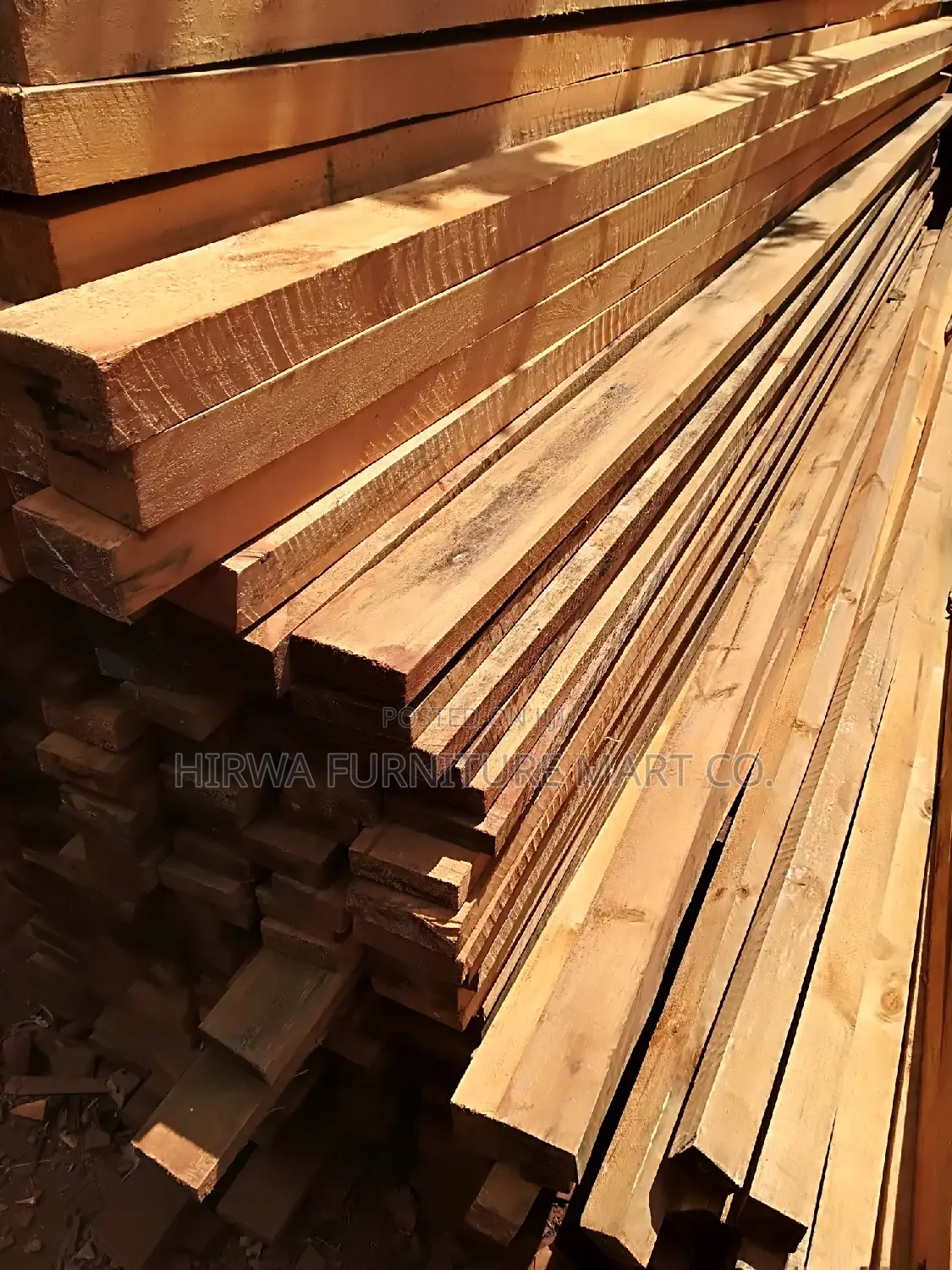 Pine Timber of All Sizes