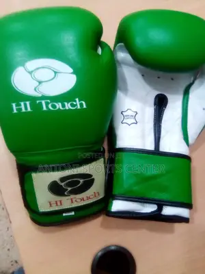 Boxing Gloves Hi Touch
