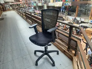 Back Mesh Reclining Chair for the Backs