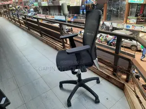 Back Mesh Reclining Chair for the Backs