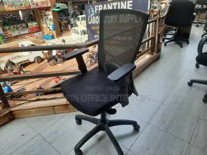 Back Mesh Reclining Chair for the Backs