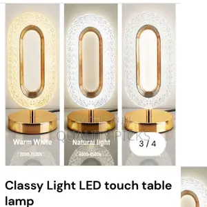 Electric Led Table Lamp