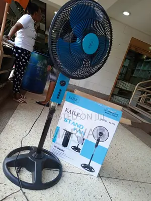 Kaile 3 Blade Stand Fan
