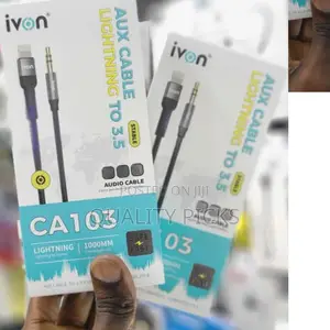 Ivon AUX Cable