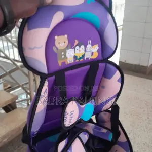Portable Car Seat