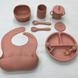 Baby Silicone Feeder Set