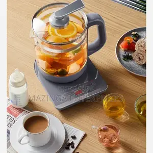 Electric Base Healthcare Medicine Automatc Tea Cooking Pot