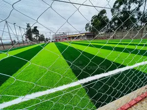 Grass Carpets (Artificial Turf)