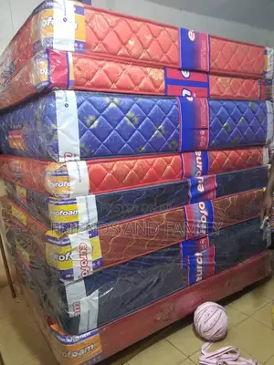 Euro Foam Mattress 6*5*6.Inches