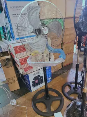 Deluxe Crown Fan