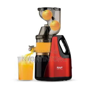Raf High Quality Slow Juicer