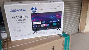 Global Star 43 Smart Digital Flat Screen Flameless.