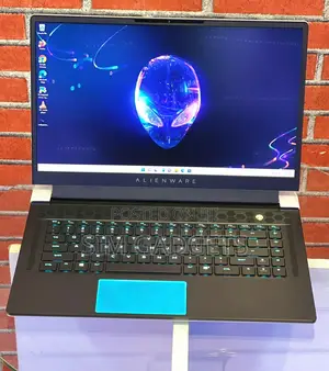 Windows Installation
