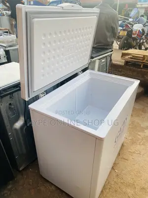 Deep Freezer 250L