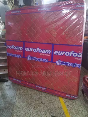 Euro Foam Dulexe 6*6*6.Inches