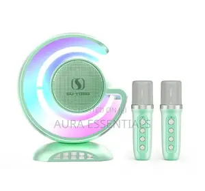 New YS110 High Power Wireless Light Show Speaker