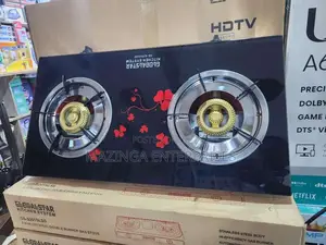 Global Star Stainless Steel Double Burner Gas Stove