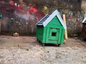 Maltese House Available for You