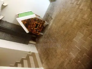 MBVVG Nice Dog House Available