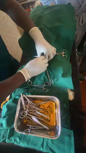 Veterinary Surgeon
