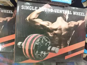 Single Gym Roller