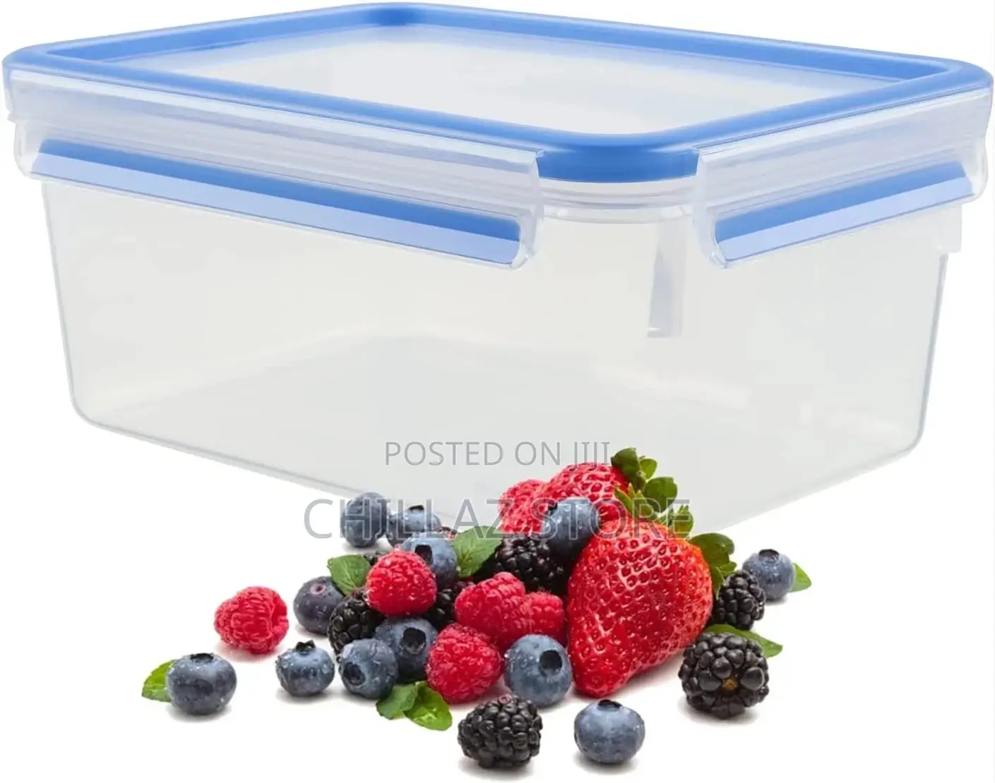 Masterseal Fresh Box, Plastic Food Storage Container