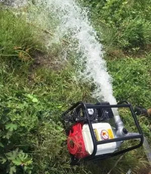 Honda Water Pump 2"