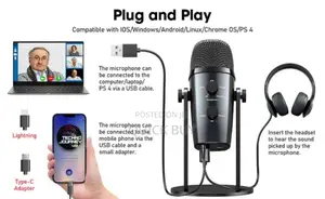 Pro Studio Desktop Condenser Micro Phone